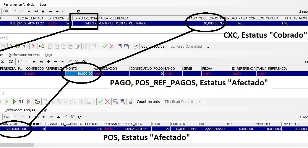 Auditoria Punto de Venta (Pagos)